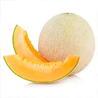 CANTALOUPE EXTRACT